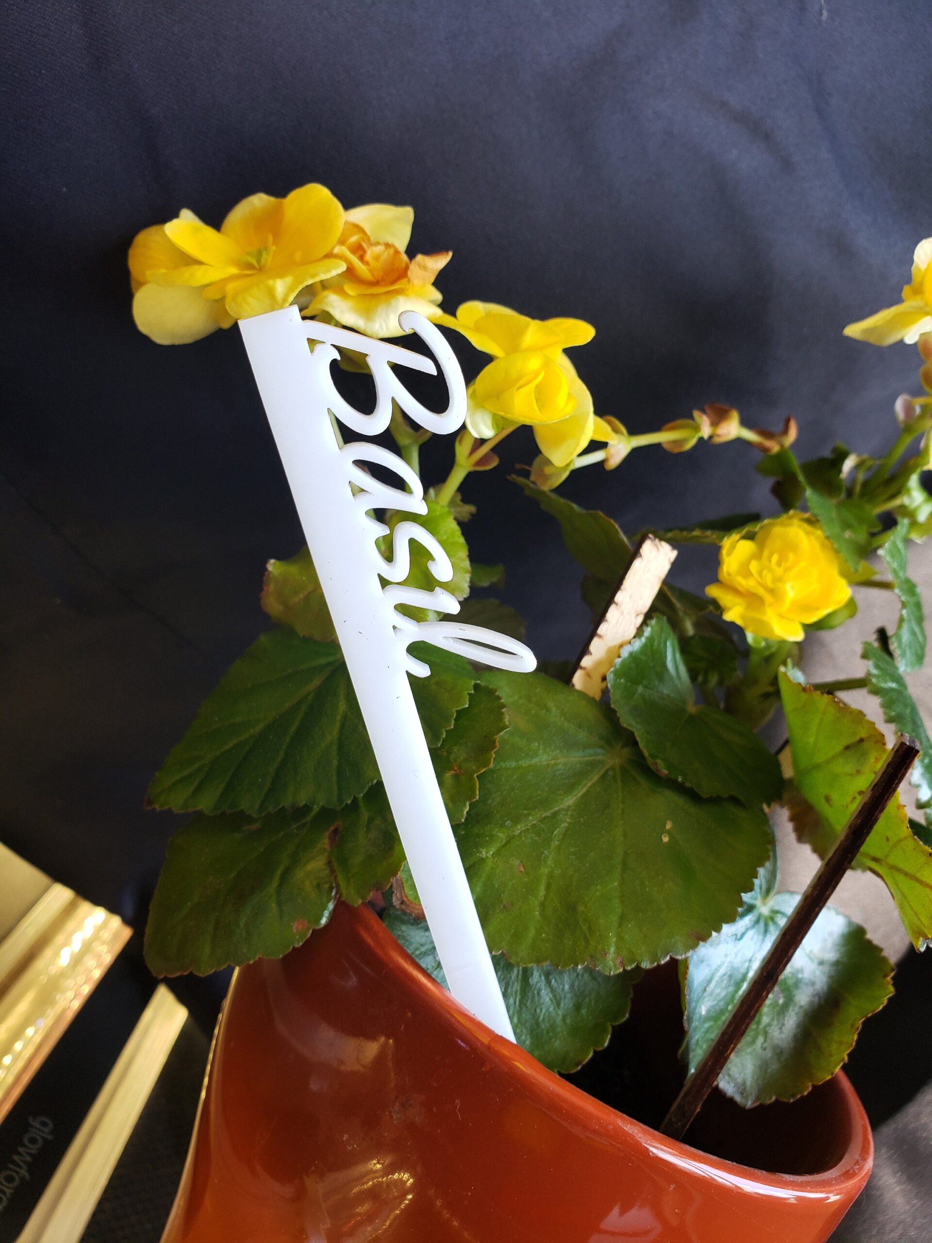 Acrylic Plant Markers
