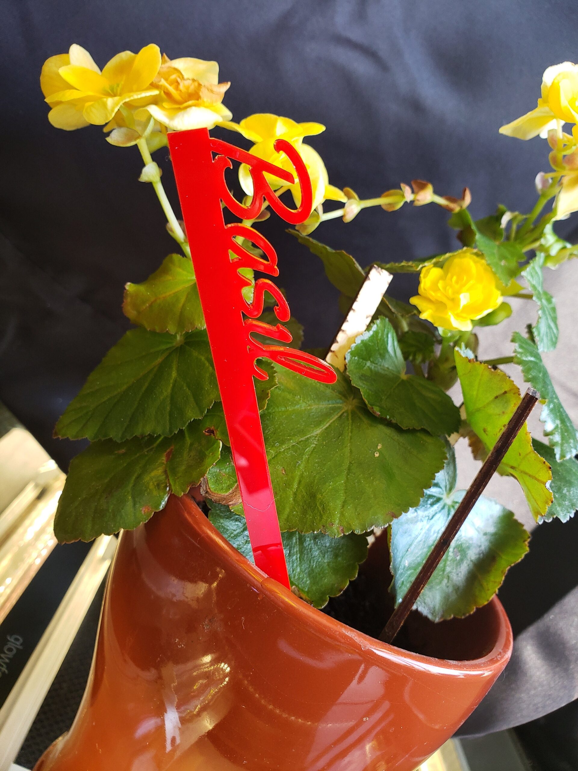 Acrylic Plant Markers - Image 4